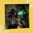 지에스(GS)25 익산금마사거리점 | 가을 국화축제 기간 및 지역별 여행 정보 총정리