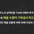 파일업 이미지