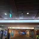 공룡게임장 이미지