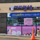 구피샵울산매곡점