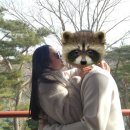 충남 청양 여행지 추천 :: 천장호 출렁다리 데이트, 가족여행 힐링 코스 솔직 후기
