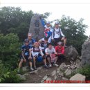 (주)유강