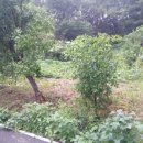 뉴랜드공인중개사사무소 이미지