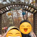 팔공산원효구도의길 | 대구 팔공산 원효 구도의 길 등산 (231104) 19/100
