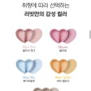 러빗 | 이유식기 추천 | 러빗 하트볼, 하트도시락 구매후기