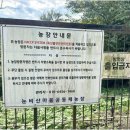 눈비산마을 공동체 농장 이미지