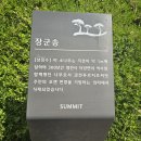 과천 푸르지오 써밋 아파트 소나무 (장군송) 회생 기원!!!!