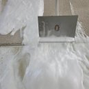 민락세탁 이미지