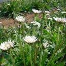 성장농원 이미지