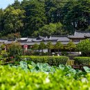 십선교 | 강릉 선교장, 한국의 아름다운 고택 여행(강원도 강릉시)