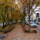 신능중학교길 이미지