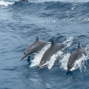 (주)만나 이미지