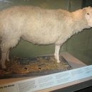 see more sea C 이미지