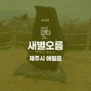 제주하늘바람 | [제주여행 8] 새별오름 꿀팁/후기 (feat. 구름 낀 하늘의 낭만)