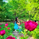 밤섬농장 | 광주 근교 드라이브로 가볼만한곳 추천! 10곳 솔직후기