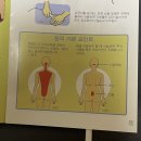 하임건강교육원 | 하임자연건강 미쯔이 주열기 후기!