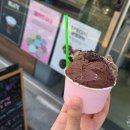 젤라또공대 이미지