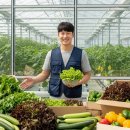 흙과삶농장 | 귀농 실습 솔직 후기｜땀과 흙 속에서 배운 3주간의 현실