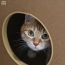 산정동 한국아델리움 이미지