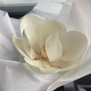 뿔난강아지 | 폭풍의 9월, 드디어 연휴