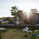 중앙동272 이미지