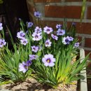 새라새요양병원 이미지