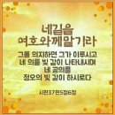 금채샵