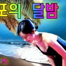 송기획