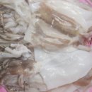 매월4로2L 이미지