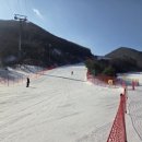 이디야 커피 무주점 | 오투리조트 스키장 강습(스노우월드), 장비 렌탈, 숙박까지 자세한 후기