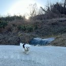 시바별장 이미지