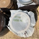 나무와새어린이집 이미지