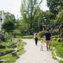 어린이대공원 이미지