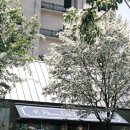 국도 32호선 이팝나무 | [전주 효자동 '화덕물고기 효자점'] 효자동 화덕 생선구이 맛집 전북도교육청 점심 솥밥 맛집 추천 후기