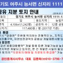 여주-1111 네이버블로그