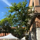 하얀나라빨래방 | [엄마랑 치앙마이 5박 7일] 03 - 카오소이 님만, Ristr8to, 왓우몽&amp;도이수텝 야경투어, 창푸악 수끼...