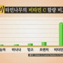 비타나무