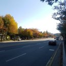 라온중고등학교 이미지