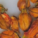 아이행복어린이집 이미지