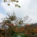 보스노래방 이미지