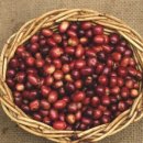 팥사랑칼국수 이미지