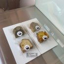 인택트(Intact) 이미지