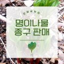 깊은산속산채농원