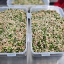 알찬손만두 이미지