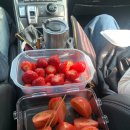 반여시장 | 부산 싱싱한 제철과일 저렴하게 파는 곳 "반여농수산물도매시장" 가격 영업시간 정보