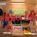 (주)강남투어 이미지