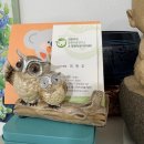 태양 아카데미 | 사당역 사주타로 [최현주의 힐링타로 아카데미] 이색데이트 코스 - 사주타로 보러가서 힐링하고 온 후기