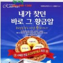 금강르네상스 이미지