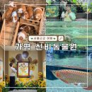 가평순환버스A코스 | 가평 비오는날 가볼만한곳 실내 놀거리 신비동물원 방문 후기