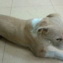 롯데마트 육교아래 이미지